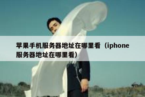 苹果手机服务器地址在哪里看（iphone服务器地址在哪里看） 第1张