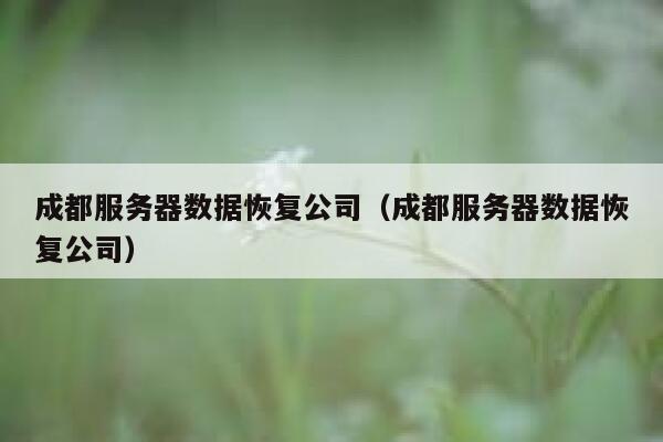 成都服务器数据恢复公司（成都服务器数据恢复公司） 第1张
