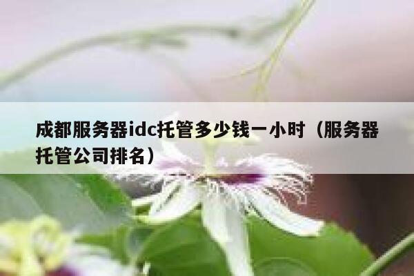 成都服务器idc托管多少钱一小时（服务器托管公司排名） 第1张