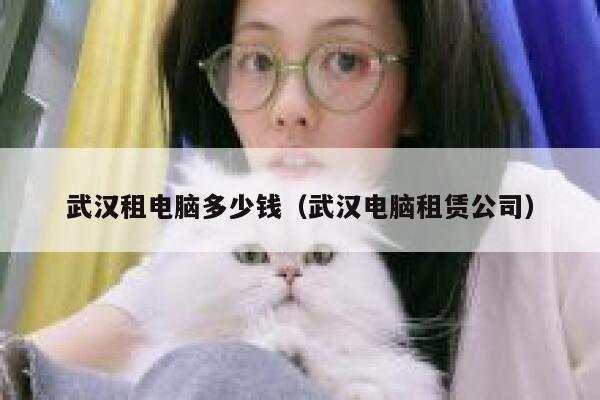 武汉租电脑多少钱（武汉电脑租赁公司） 第1张