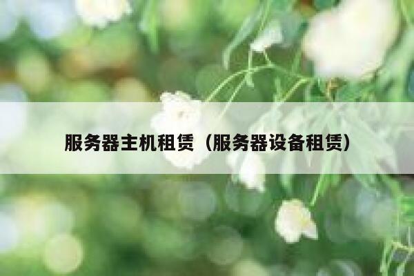 服务器主机租赁（服务器设备租赁） 第1张