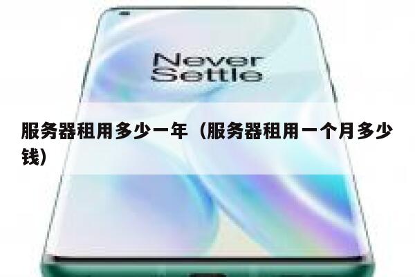 服务器租用多少一年（服务器租用一个月多少钱） 第1张