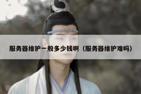 服务器维护一般多少钱啊（服务器维护难吗） 第1张