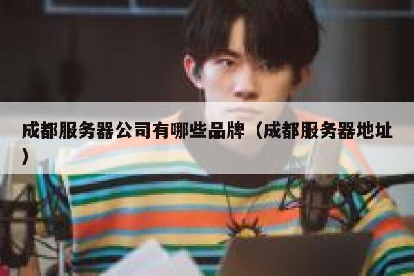 成都服务器公司有哪些品牌(成都服务器地址) 第1张 成都服务器公司有哪些品牌(成都服务器地址) 第1张