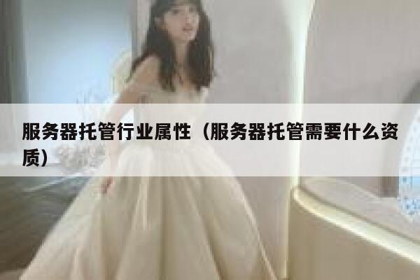服务器托管行业属性（服务器托管需要什么资质） 第1张