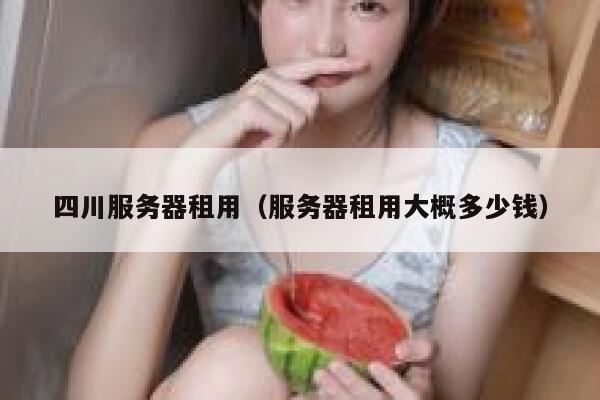 四川服务器租用（服务器租用大概多少钱） 第1张