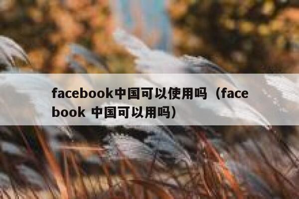 facebook中国可以使用吗（facebook 中国可以用吗） 第1张