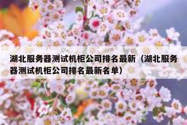 湖北服务器测试机柜公司排名最新(湖北服务器测试机柜公司排名最新名单) 第1张 湖北服务器测试机柜公司排名最新(湖北服务器测试机柜公司排名最新名单) 第1张