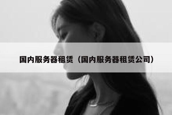 国内服务器租赁(国内服务器租赁公司) 第1张 国内服务器租赁(国内服务器租赁公司) 第1张