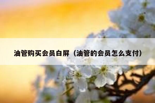 油管购买会员白屏(油管的会员怎么支付) 第1张 油管购买会员白屏(油管的会员怎么支付) 第1张