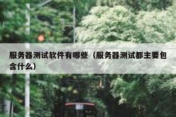 服务器测试软件有哪些(服务器测试都主要包含什么) 第1张 服务器测试软件有哪些(服务器测试都主要包含什么) 第1张