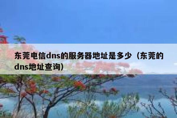 东莞电信dns的服务器地址是多少(东莞的dns地址查询) 第1张 东莞电信dns的服务器地址是多少(东莞的dns地址查询) 第1张