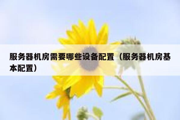 服务器机房需要哪些设备配置(服务器机房基本配置) 第1张 服务器机房需要哪些设备配置(服务器机房基本配置) 第1张