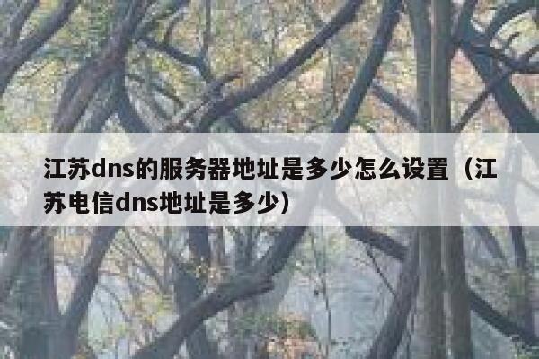 江苏dns的服务器地址是多少怎么设置(江苏电信dns地址是多少) 第1张 江苏dns的服务器地址是多少怎么设置(江苏电信dns地址是多少) 第1张