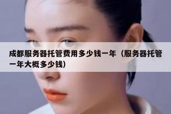 成都服务器托管费用多少钱一年（服务器托管一年大概多少钱） 第1张
