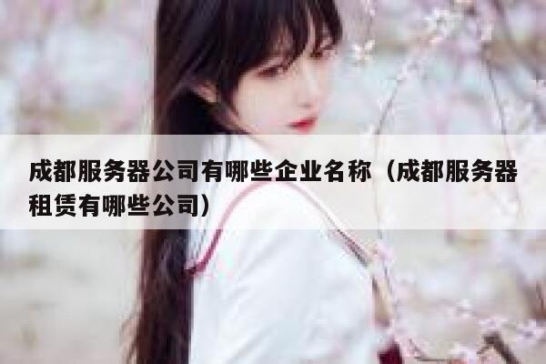 成都服务器公司有哪些企业名称（成都服务器租赁有哪些公司） 第1张