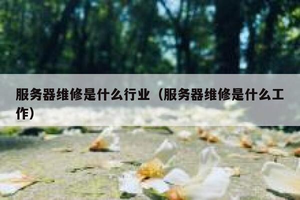服务器维修是什么行业（服务器维修是什么工作） 第1张