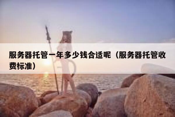 服务器托管一年多少钱合适呢（服务器托管收费标准） 第1张