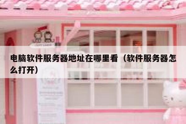 电脑软件服务器地址在哪里看(软件服务器怎么打开) 第1张 电脑软件服务器地址在哪里看(软件服务器怎么打开) 第1张