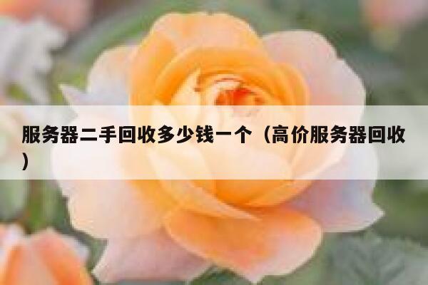 服务器二手回收多少钱一个（高价服务器回收） 第1张
