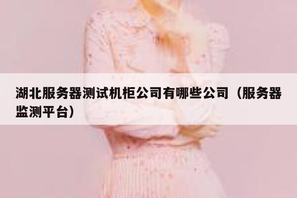 湖北服务器测试机柜公司有哪些公司（服务器监测平台） 第1张