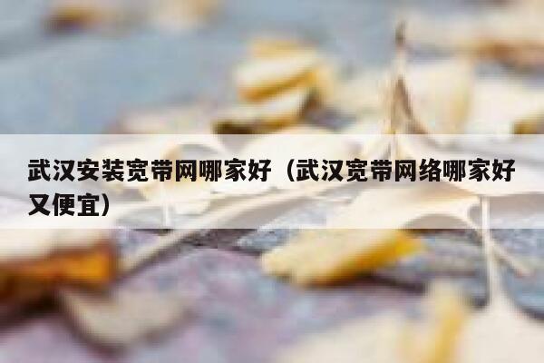 武汉安装宽带网哪家好（武汉宽带网络哪家好又便宜） 第1张