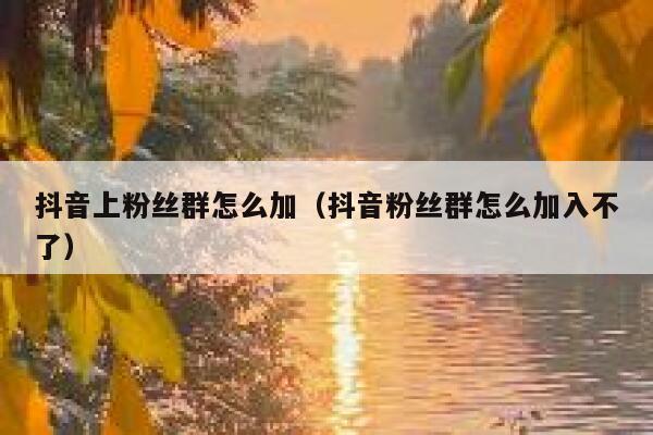 抖音上粉丝群怎么加（抖音粉丝群怎么加入不了） 第1张