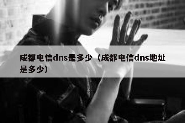 成都电信dns是多少（成都电信dns地址是多少） 第1张