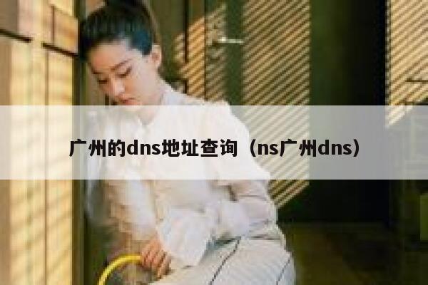 广州的dns地址查询(ns广州dns) 第1张 广州的dns地址查询(ns广州dns) 第1张