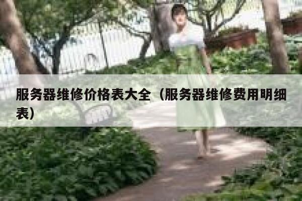 服务器维修价格表大全（服务器维修费用明细表） 第1张