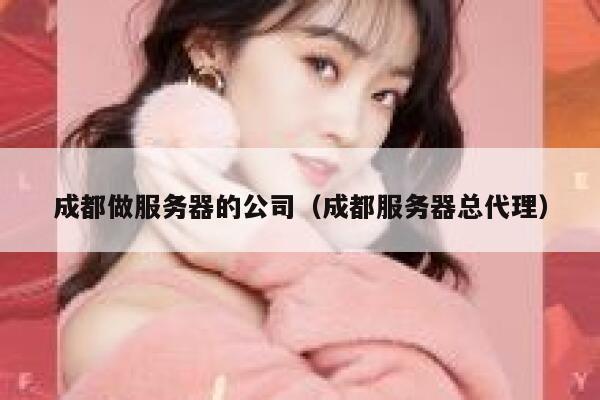 成都做服务器的公司（成都服务器总代理） 第1张