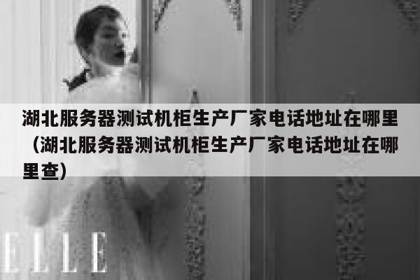 湖北服务器测试机柜生产厂家电话地址在哪里（湖北服务器测试机柜生产厂家电话地址在哪里查） 第1张