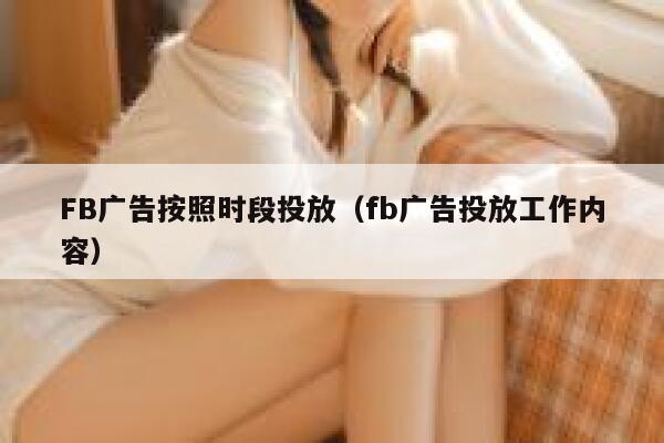 FB广告按照时段投放（fb广告投放工作内容） 第1张