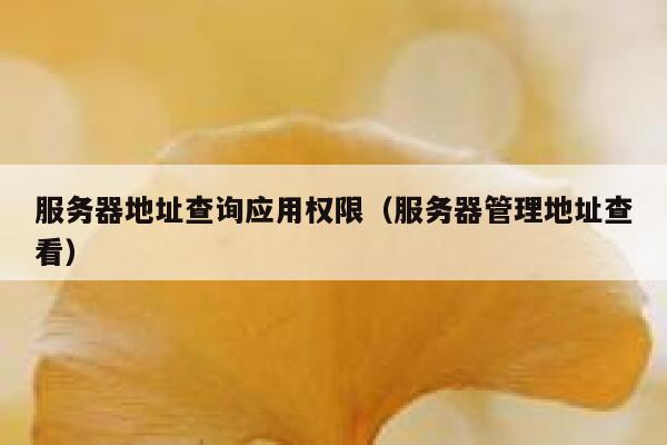 服务器地址查询应用权限（服务器管理地址查看） 第1张