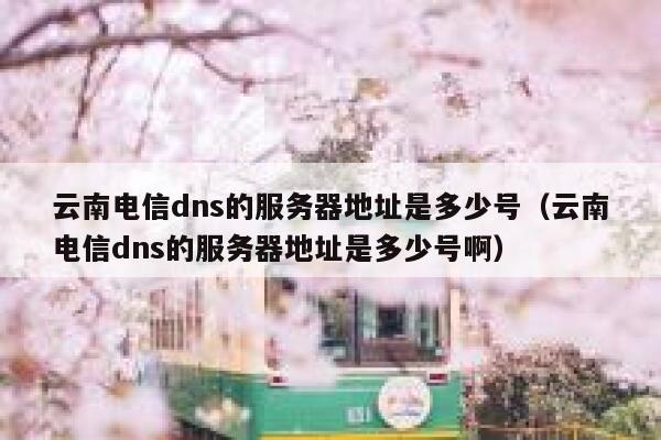 云南电信dns的服务器地址是多少号（云南电信dns的服务器地址是多少号啊） 第1张