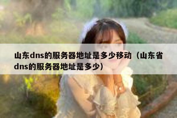 山东dns的服务器地址是多少移动（山东省dns的服务器地址是多少） 第1张