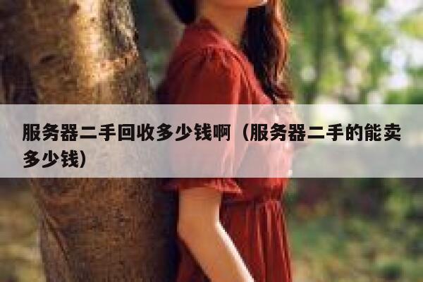 服务器二手回收多少钱啊（服务器二手的能卖多少钱） 第1张