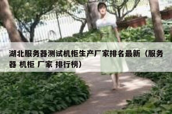 湖北服务器测试机柜生产厂家排名最新（服务器 机柜 厂家 排行榜） 第1张