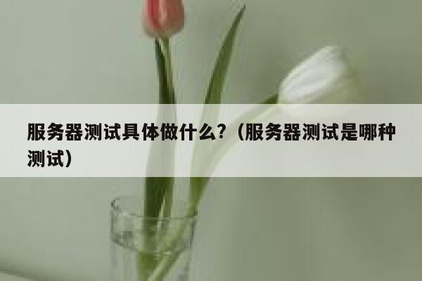 服务器测试具体做什么?(服务器测试是哪种测试) 第1张 服务器测试具体做什么?(服务器测试是哪种测试) 第1张