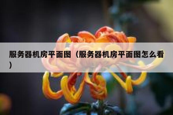 服务器机房平面图（服务器机房平面图怎么看） 第1张