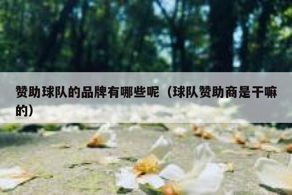 赞助球队的品牌有哪些呢（球队赞助商是干嘛的） 第1张