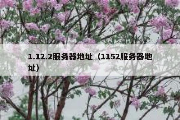 1.12.2服务器地址（1152服务器地址） 第1张
