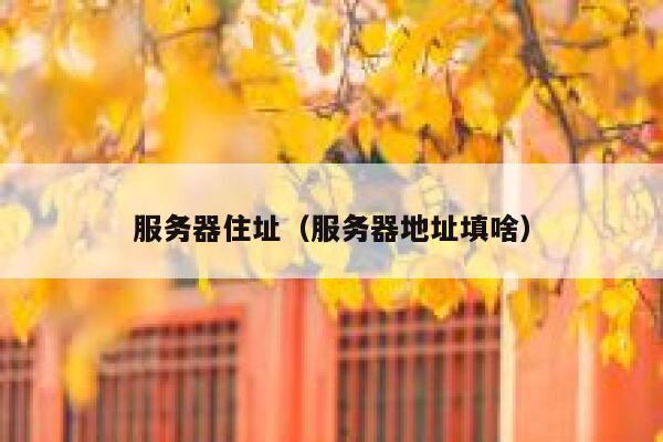 服务器住址（服务器地址填啥） 第1张