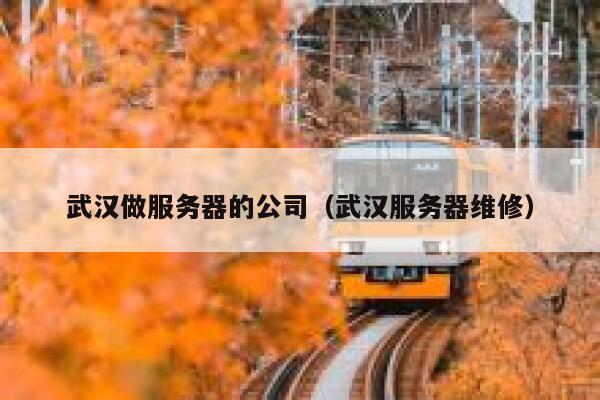 武汉做服务器的公司(武汉服务器维修) 第1张 武汉做服务器的公司(武汉服务器维修) 第1张
