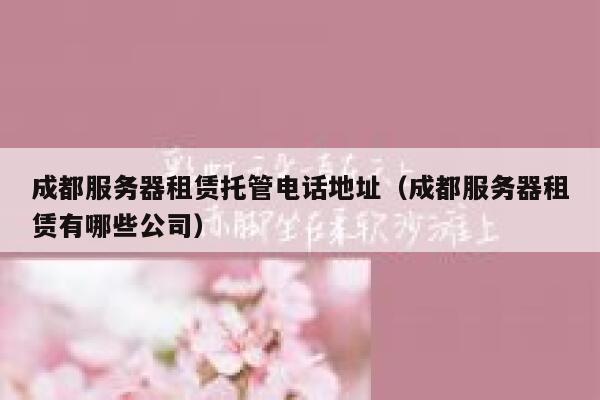 成都服务器租赁托管电话地址（成都服务器租赁有哪些公司） 第1张