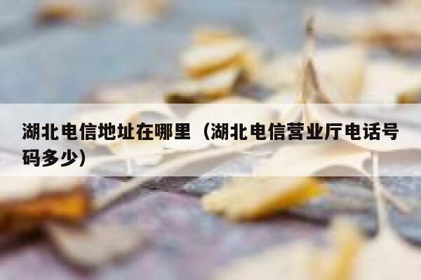 湖北电信地址在哪里（湖北电信营业厅电话号码多少） 第1张