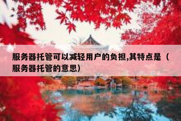 服务器托管可以减轻用户的负担,其特点是（服务器托管的意思） 第1张