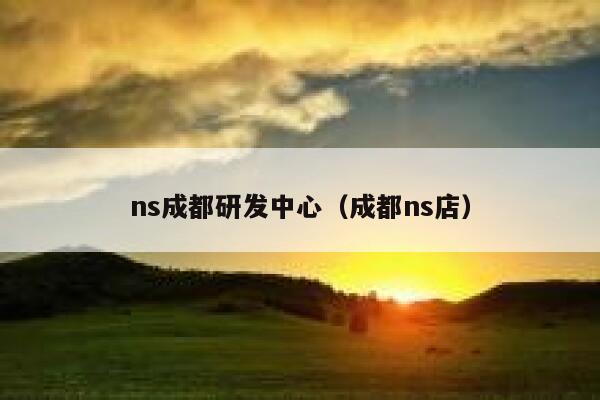 ns成都研发中心（成都ns店） 第1张