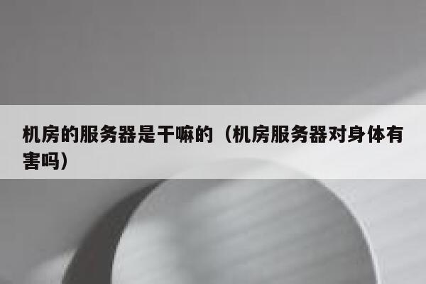 机房的服务器是干嘛的(机房服务器对身体有害吗) 第1张 机房的服务器是干嘛的(机房服务器对身体有害吗) 第1张