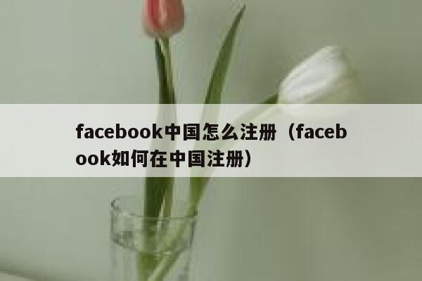 facebook中国怎么注册（facebook如何在中国注册） 第1张